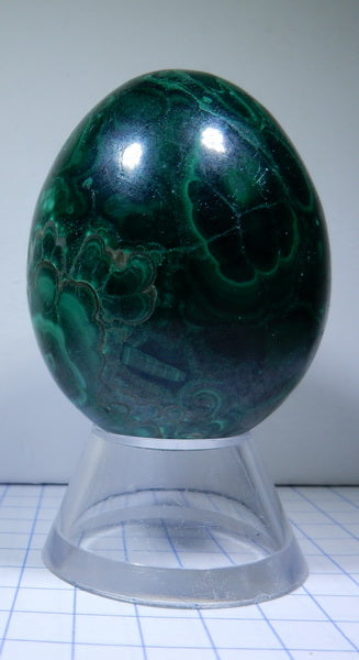 Malachite - 599.5ct - Polished Egg - prettyrock.com