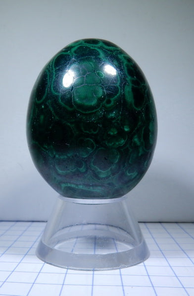 Malachite - 599.5ct - Polished Egg - prettyrock.com