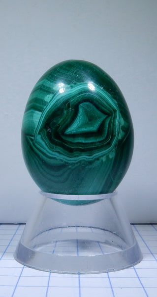 Malachite - 312ct - Polished Egg - prettyrock.com