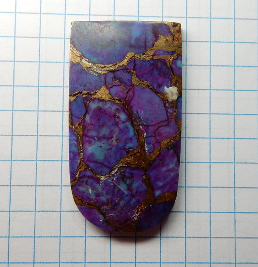 Mohave Turquoise - Cabochon - prettyrock.com