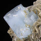 Aquamarine on Muscovite - Mineral Specimen - prettyrock.com