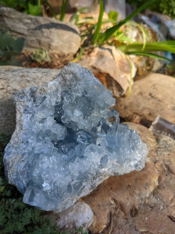 Celestite - Mineral Specimen - prettyrock.com