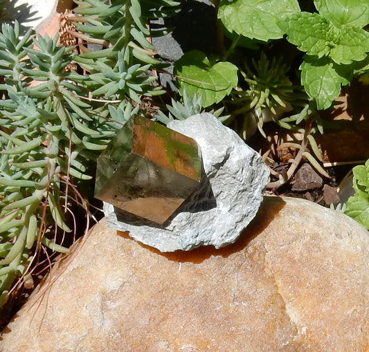 Pyrite - Mineral Specimen - 336 ct - prettyrock.com
