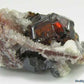 Sphalerite - Mineral Specimen - prettyrock.com