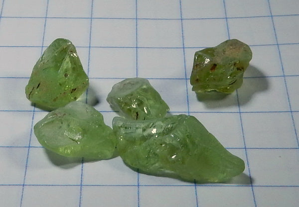 Peridot - 11.9ct - Hand Select Gem Rough - prettyrock.com