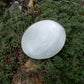 Selenite Palm Stone - 576 ct - prettyrock.com