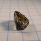 Tanzanite - 3.55ct - Hand Select Gem Rough - prettyrock.com