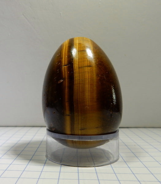 Tigers Eye Quartz - 422ct - Polished Egg - prettyrock.com