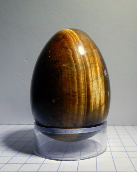 Tigers Eye Quartz - 420ct - Polished Egg - prettyrock.com