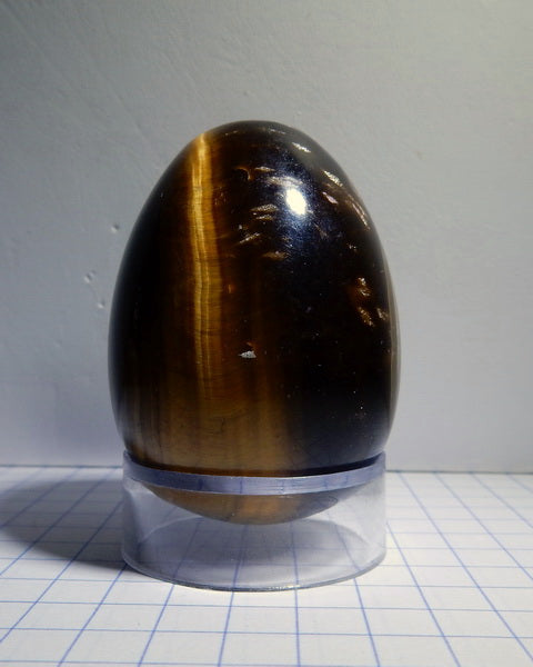 Tigers Eye Quartz - 425ct - Polished Egg - prettyrock.com