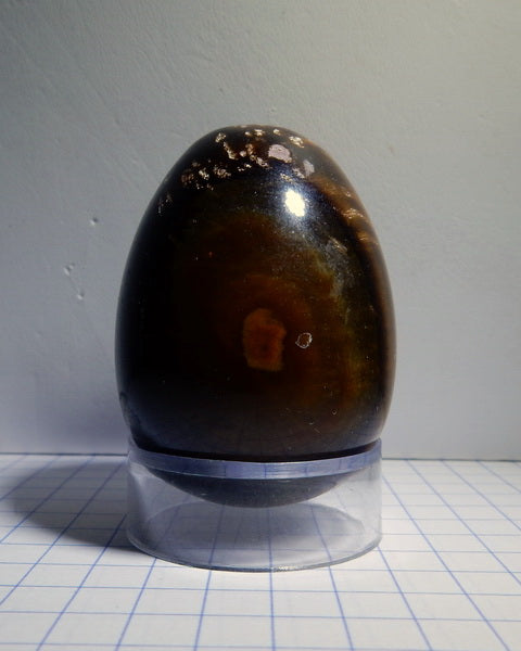 Tigers Eye Quartz - 425ct - Polished Egg - prettyrock.com