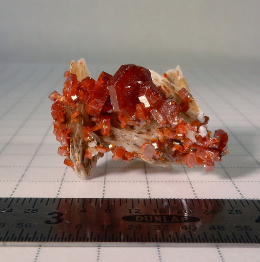 Vanadanite - 48.5 ct  Mineral Specimen - prettyrock.com