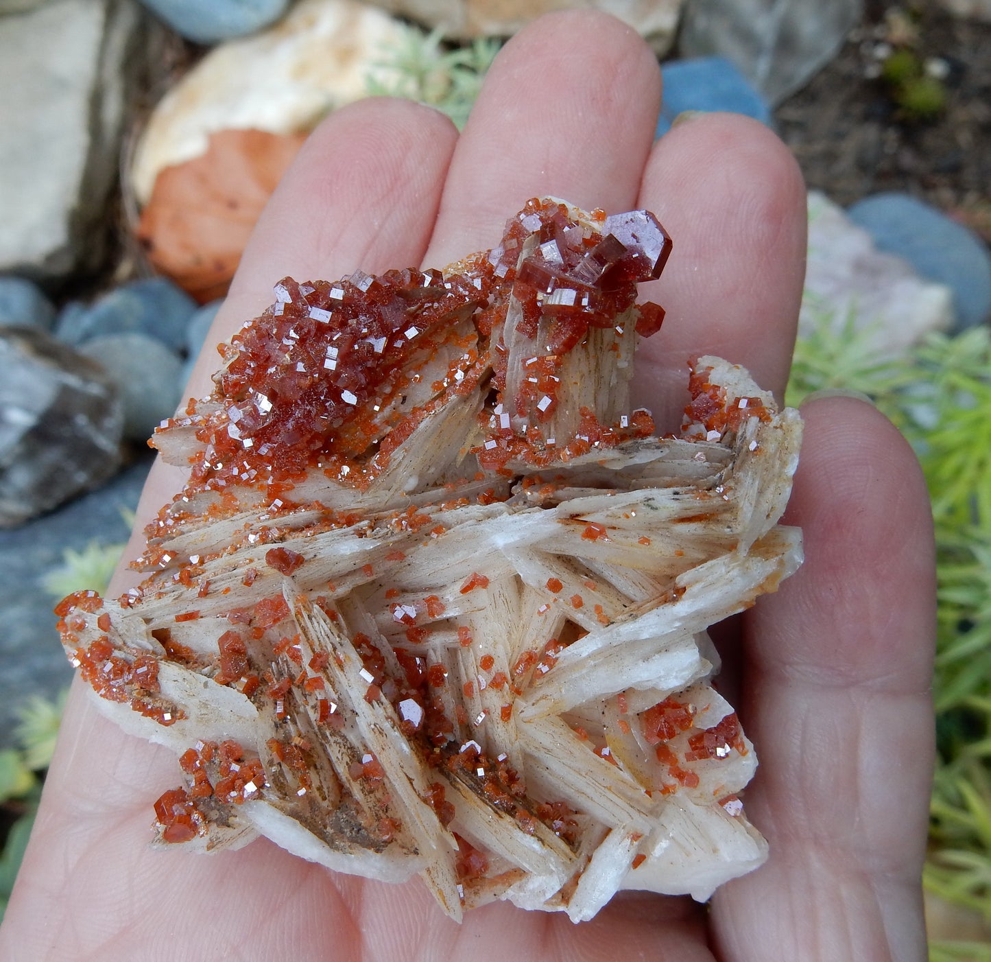 Vanadanite -264ct  Mineral Specimen - prettyrock.com